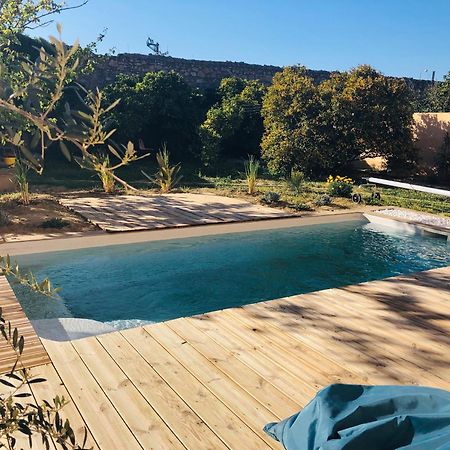 Villa Les Oliviers 萨勒斯勒沙托 外观 照片